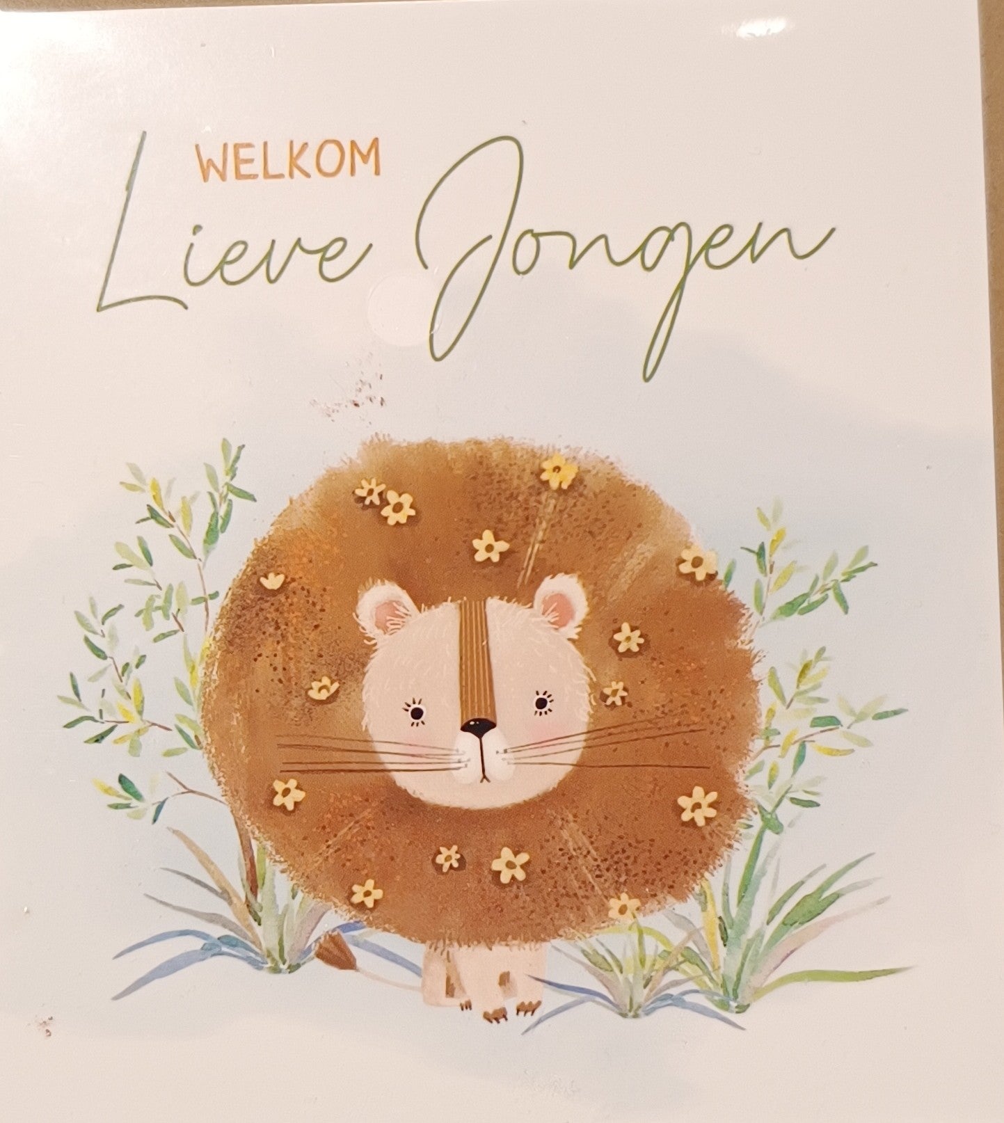 Geboorte wenskaart 100 jongen