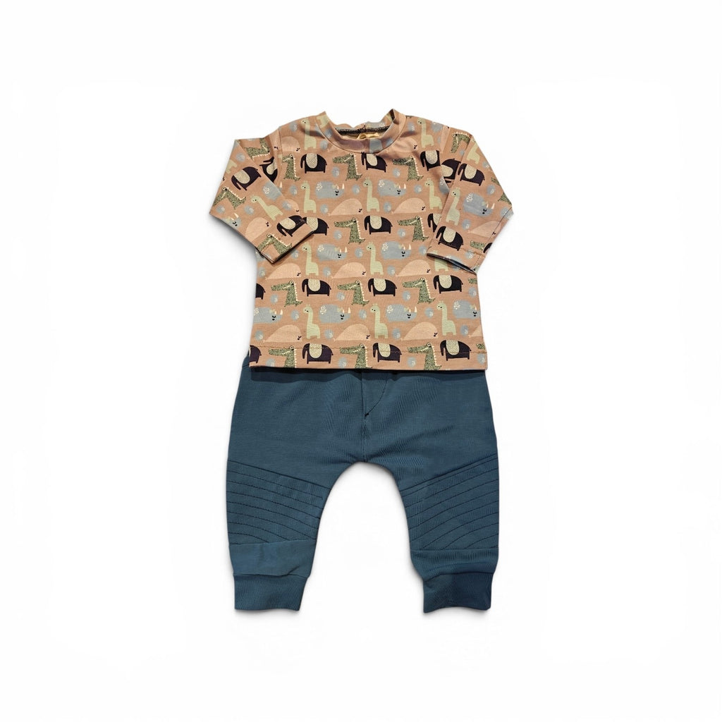 Setje broekje en shirtje dino blauw maat 74