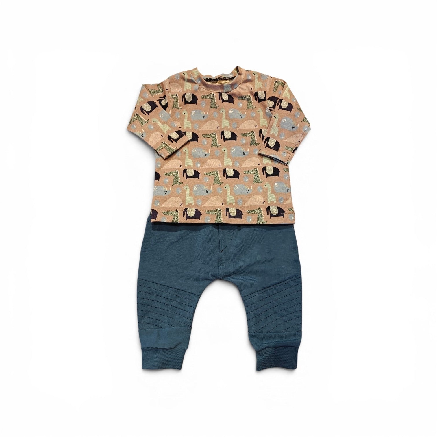Setje broekje en shirtje dino blauw maat 74